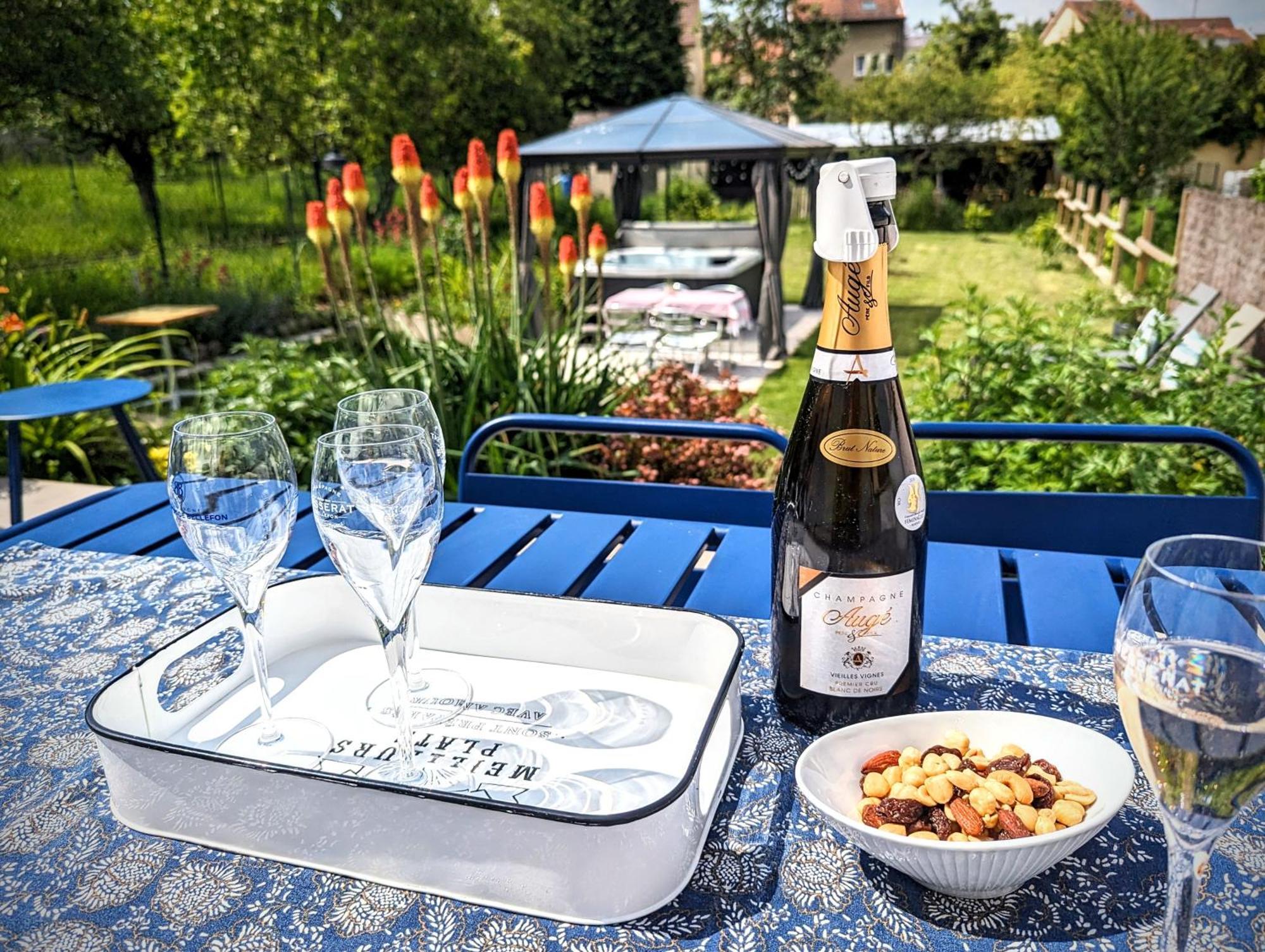 Le Cemarose: Spa, Jardin, Terrasse Et Jolie Vue Au Coeur D'Épernay Eksteriør bilde